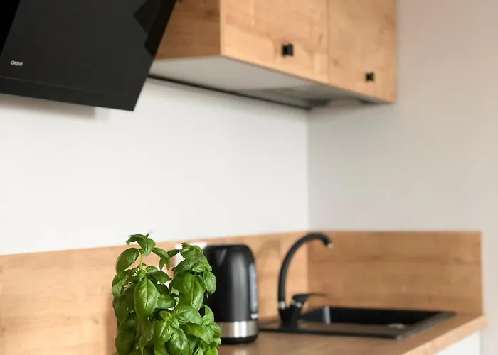 Quattro Stary Browar Danzig